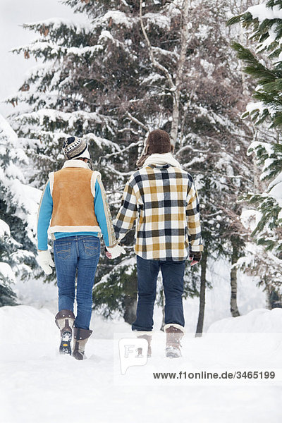 Junges Paar hält sich an den Händen  geht im Schnee spazieren  Rückansicht
