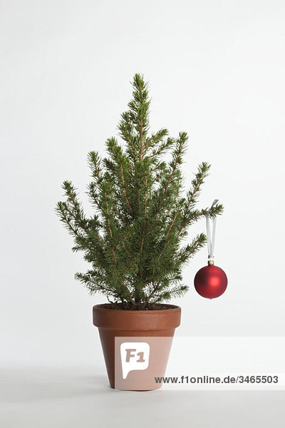 Ein kleiner Weihnachtsbaum mit einer Kugel geschmückt