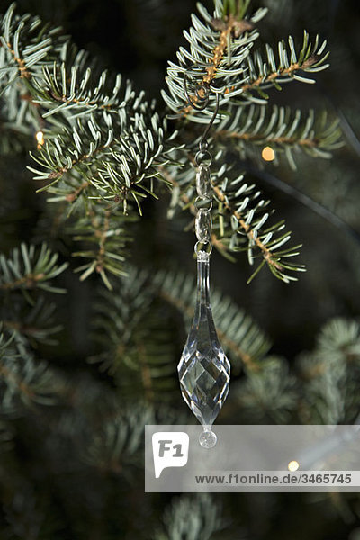 A crystal icicle ornament hanging from a tree branch