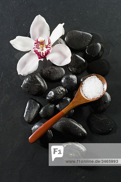 Ein Löffel Mineralsalz und eine Orchidee auf Lastone Therapiesteinen liegend