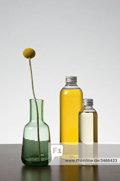 Aromatherapieöl und eine Vase mit einer Billybutton Daisy (Craspedia)