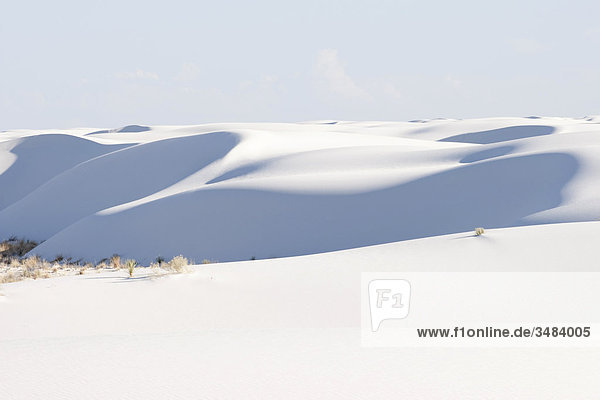 White Sands National Monument,  New Mexico,  USA