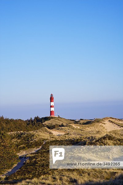 Leuchtturm auf Amrum  Schleswig-Holstein  Deutschland  Erhöhte Ansicht