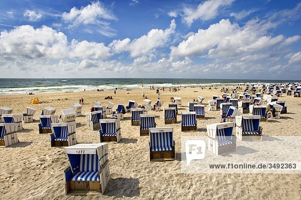Strandkörbe am Strand  Westerland  Sylt  Deutschland  Erhöhte Ansicht