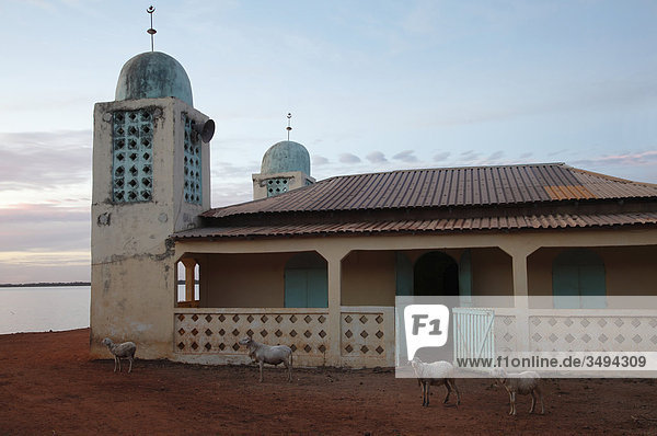Moschee  Gambia  Westafrika  Afrika