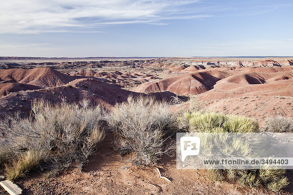 Landschaft in New Mexico  USA  Erhöhte Ansicht