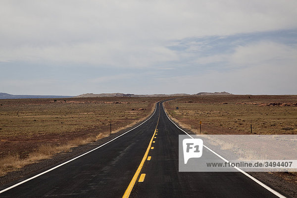 Landstraße in Arizona  USA  Fluchtpunktperspektive