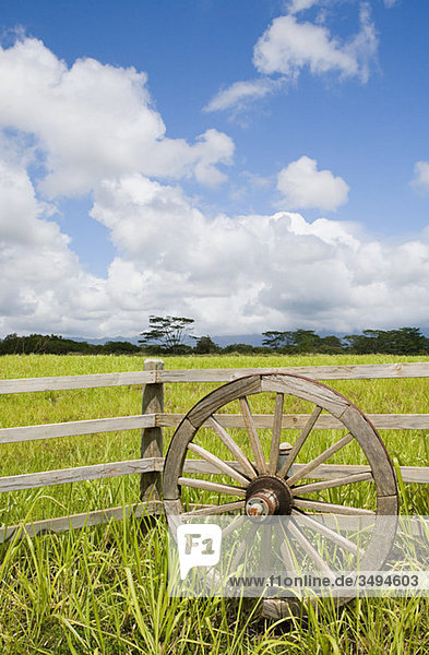 Holzrad und Feld in Kauai  Hawaii