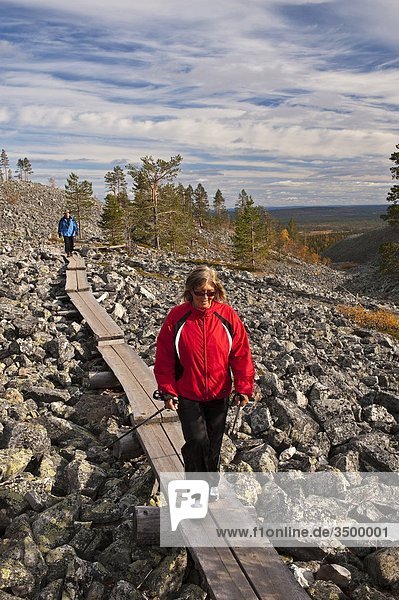 Lapland  Finland  Pallas Yllastunturi National Park  in autumn