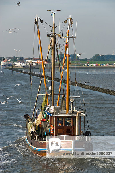 Fischkutter auf der Rückfahrt nach Langeoog  Deutschland