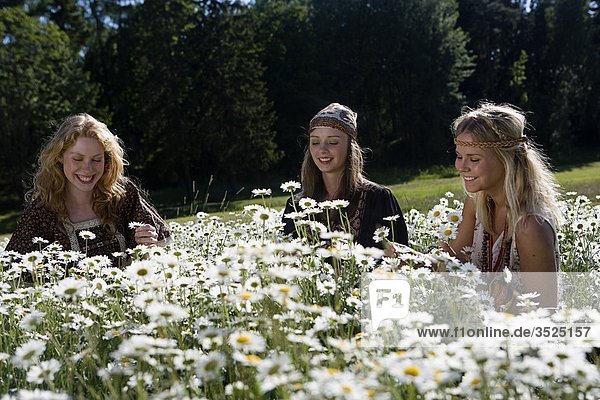 Drei junge Frauen pflücken Blumen in Wiese