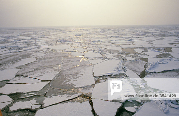 über Meer Eis Ansicht Baltikum zerbrochen