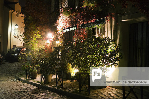 Topfpflanzen auf dem Bürgersteig bei Nacht  Paris  Frankreich