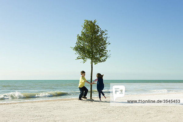 Kinder tanzen um einen Baum  der am Strand wächst.