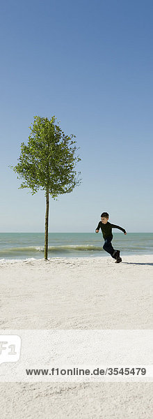 Junge rennt um den Baum und wächst am Strand.