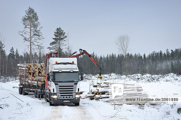 Holz Lastkraftwagen Ansicht Skandinavien Schweden Uppland