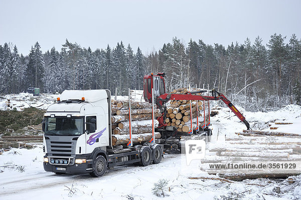 Holz Lastkraftwagen Ansicht Skandinavien Schweden Uppland
