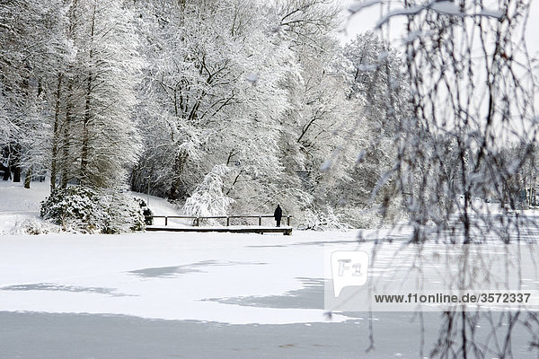 Winter landscape at the Muehlenteich Reinbek Schleswig-Holstein Germany
