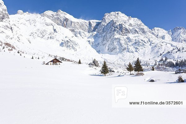 The Stegmoosalm under the Birgkar at the Hochkoenig Berchtesgadener Alps Austria