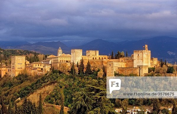 Alhambra  Granada Andalusia  Spain