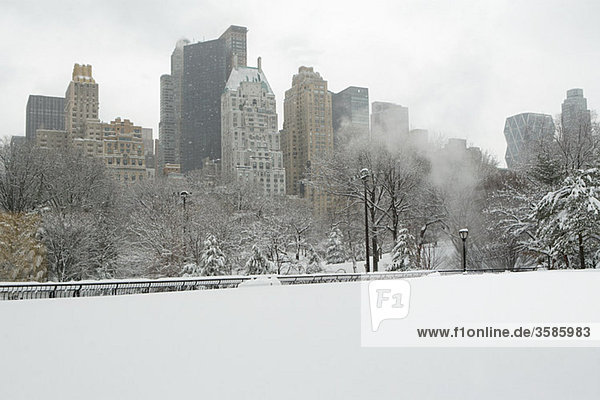 Central park in the snow