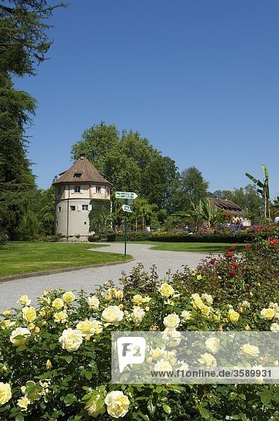 Blumeninsel Mainau  Baden-Württemberg  Deutschland  Europa