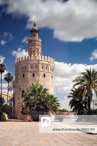 Torre del Oro  Seville  Spain