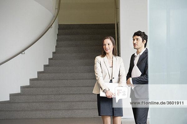 Two business executives standing in an office