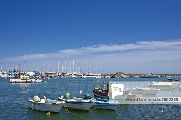 Fischereihafen von Lagos  Portugal  Algarve