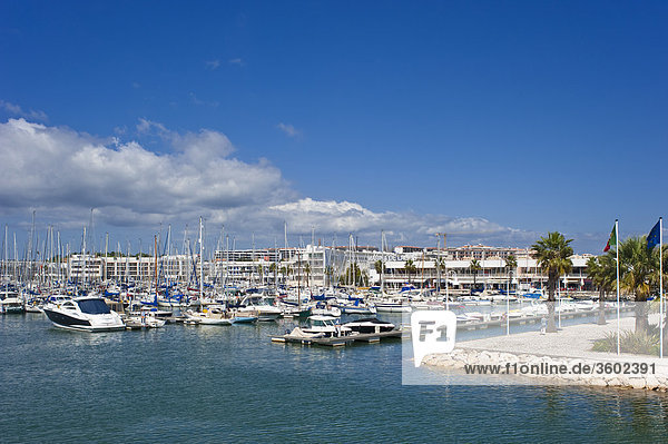 Yachthafen von Lagos  Algarve  Portugal
