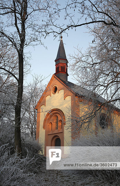 Kapelle im Abendlicht von vereisten Bäumen umgeben  Trier  Deutschland