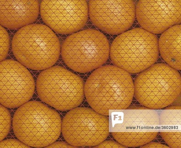 Kiste Orangen mit Netz  bildfüllend
