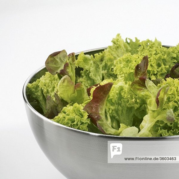 Blattsalat in Edelstahlschüssel