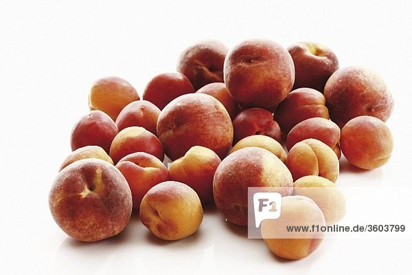 Frische Aprikosen und Pfirsiche