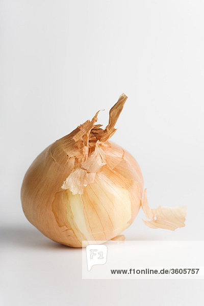 Zwiebel