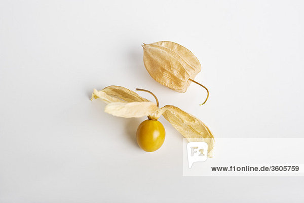 Kapstachelbeere (Physalis peruviana)