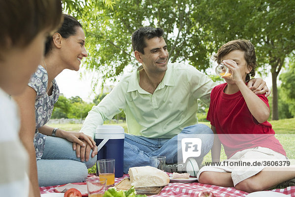 Family enjoying picnic outdoors