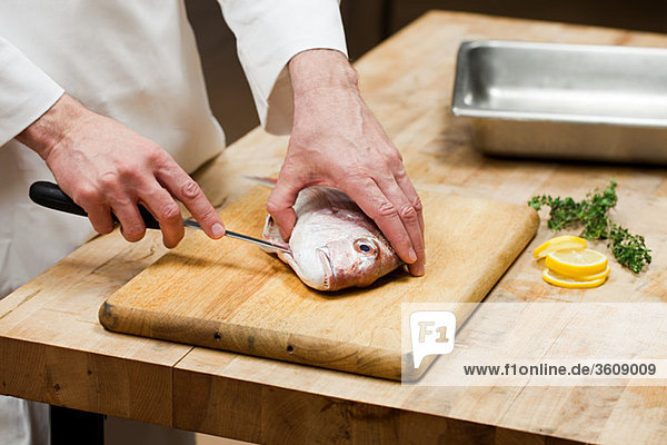 Männlicher Koch bei der Zubereitung von Fisch in der Großküche