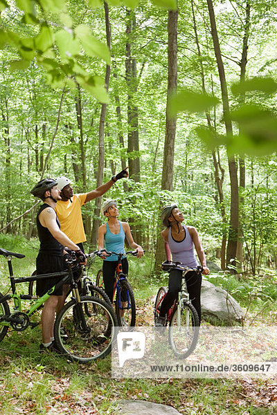 Four cyclists in forest