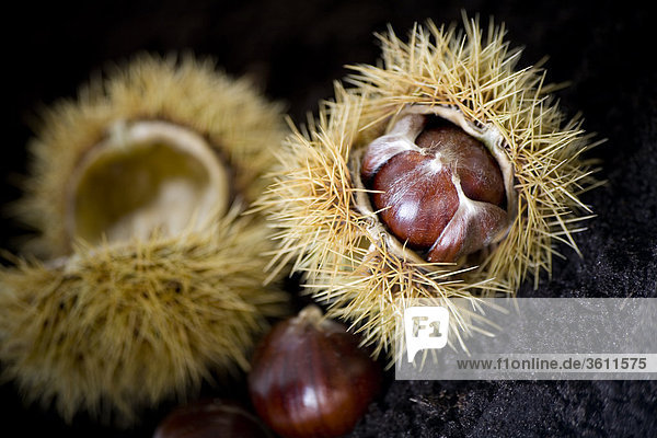 Two chestnuts
