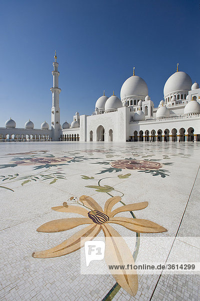 Sheikh Zayed Moschee  Kuppeln  Minarett  Turm  Turm  Islam  Moschee  Religion  Abu Dhabi  Vereinigte Arabische Emirate  Vereinigte Arabische Emirate  Mittlerer Osten  Dekoration  Blume Motiv  Blume  Reisen  Sehenswürdigkeit  Wahrzeichen