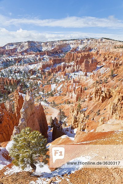 Landschaft im Bryce Canyon Nationalpark, Utah, USA