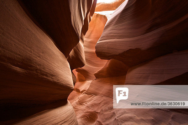 Antelope Canyon  Arizona  USA