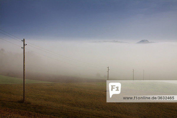 Nebelstimmung  rechts ragt der Mägdeberg aus dem Nebelmeer  Hegau  Landkreis Konstanz  Baden-Württemberg  Deutschland  Europa