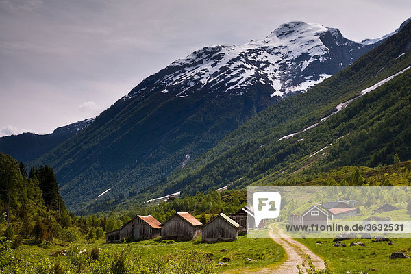 Norwegian houses in Boyatal  Norway  Scandinavia  Europe