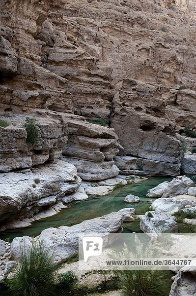Bach im Wadi Shab  Oman  Naher Osten