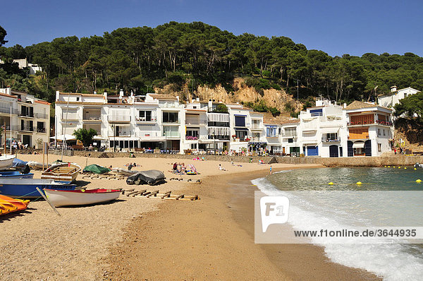 Platja de Tamariu  beach of Tamariu  Costa Brava  Spain  Iberian Peninsula  Europe