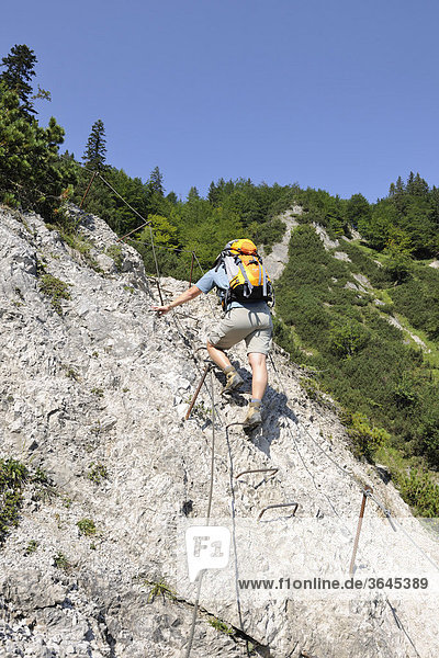 Easy climbing route at the 'Bettler Steig'  Mt Wilder Kaiser  Tyrol  Austria  Europe