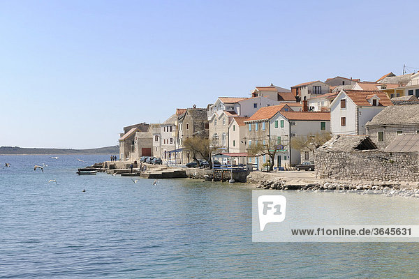 Altstadt auf einer Insel gelegen  Primoöten  Kroatien  Europa