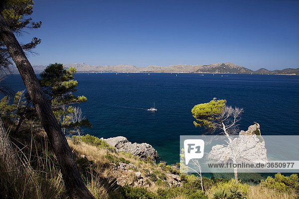 Aussicht auf die Bucht von Pollenca und das Cap Formentor  Mallorca  Balearen  Spanien  Europa